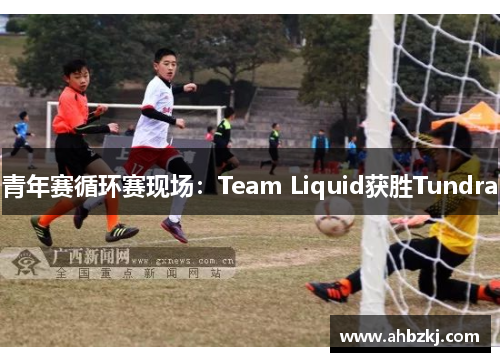 青年赛循环赛现场：Team Liquid获胜Tundra