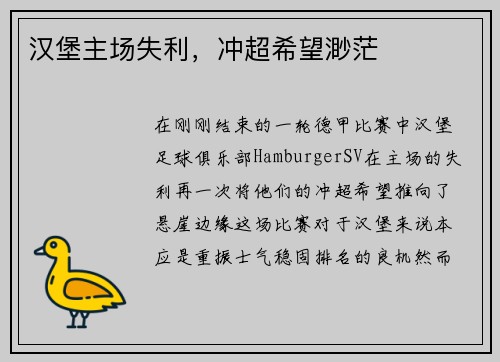 汉堡主场失利，冲超希望渺茫