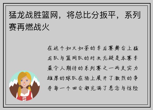 猛龙战胜篮网，将总比分扳平，系列赛再燃战火